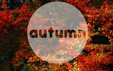 Autumn Leaves独奏谱_卢家宏_原版编配独奏谱_独奏谱六线谱
