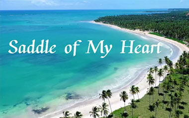 Saddle Of My Heart吉他六线谱_Teloupe_C调按弦_六线图片谱