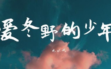 爱冬野的少年吉他六线谱_沈以诚_C调按弦弹唱伴奏谱_六线图片谱
