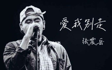 爱我别走吉他六线谱_张震岳_G调手指指法原版编配吉他六线谱_吉他弹唱伴奏教程
