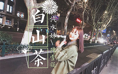 白山茶吉他六线谱_陈雪凝_C调原版编配弹唱伴奏谱_图片谱