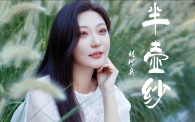 半壶纱拇指弹拨吉他六线谱_刘珂矣_原版编配独奏谱_吉他独奏谱六线谱
