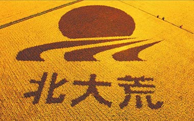 北大荒吉他六线谱_安来宁_G调手指指法弹唱伴奏谱_图片谱
