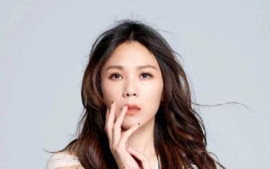 被驯服的象吉他六线谱_蔡健雅_C调手指指法弹唱伴奏谱_图片谱