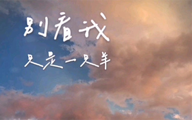 别看我是一只羊吉他六线谱_沈以诚_C调原版编配弹唱伴奏谱_图片谱