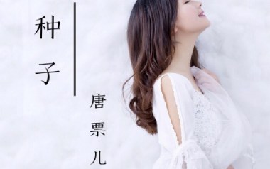 种子吉他六线谱_唐票儿_C调手指指法原版编配弹唱伴奏谱_高清图片六线谱