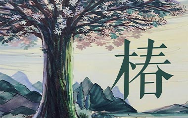 椿吉他六线谱_沈以诚_《椿》C调原版编配弹唱伴奏谱_图片谱