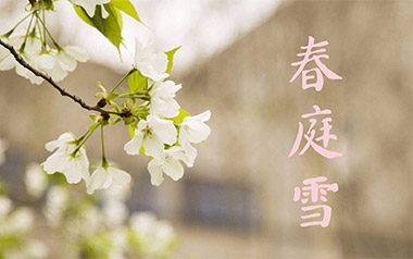 春庭雪吉他六线谱_橙翼_C调原版编配编配_弹唱伴奏六线谱_中国风