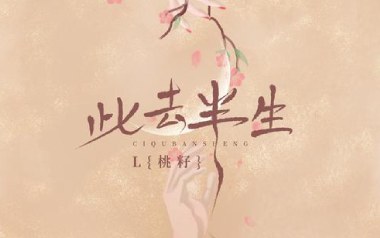 此去半生吉他六线谱_桃籽_G调手指指法扫弦节奏版弹唱伴奏谱_图片谱