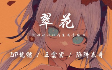 翠花吉他六线谱_DP龙猪/王云宏/陷阱表哥_G调_吉他弹唱伴奏六线谱