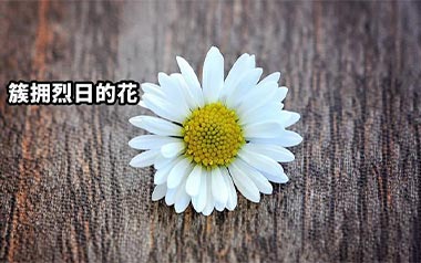 簇拥烈日的花吉他六线谱_迟里乌布_C调原版编配弹唱伴奏谱_高清图片六线谱
