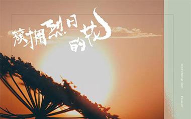 簇拥烈日的花吉他六线谱_迟里乌布/Morerare_C调_吉他弹唱伴奏教程