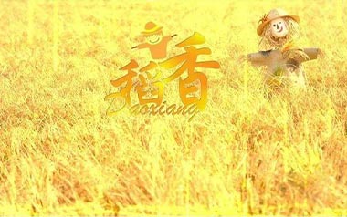 稻香吉他六线谱_周杰伦_稻香A调原版编配弹唱伴奏谱_高清图片六线谱