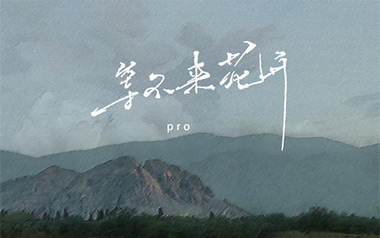 等不来花开吉他六线谱_Pro_C调原版编配弹唱伴奏谱_六线图片谱
