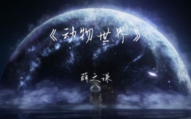 动物世界吉他六线谱_薛之谦_C调手指指法原版编配弹唱伴奏谱_高清图片六线谱