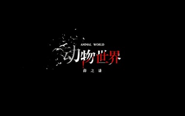 动物世界吉他六线谱_薛之谦_C调原版编配弹唱伴奏谱_六线图片谱