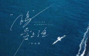 飞鸟爱上了鱼吉他六线谱_宁小泽_C调原版编配弹唱伴奏谱_图片谱