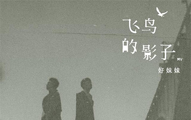飞鸟的影子吉他六线谱_好妹妹乐队_G调原版编配弹唱伴奏谱_图片谱