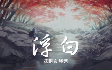 浮白吉他六线谱_花粥_C调手指指法弹唱伴奏谱_高清六线谱