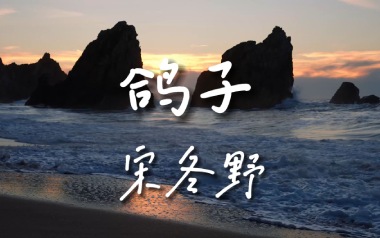鸽子吉他六线谱_宋冬野_E调按弦原版编配弹唱伴奏谱_高清六线谱