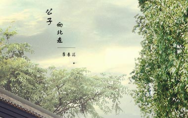 公子向北走吉他六线谱_李春花_G调手指指法简单版_图片谱