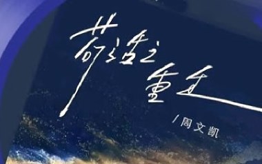苟活之重生吉他六线谱_周文凯_C调扫弦节奏版弹唱伴奏谱_图片谱