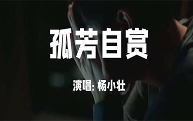 孤芳自赏吉他六线谱_杨小壮_C调手指指法原版编配弹唱伴奏谱_图片谱