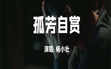 孤芳自赏吉他六线谱_杨小壮_G调手指指法原版编配弹唱伴奏谱_图片谱