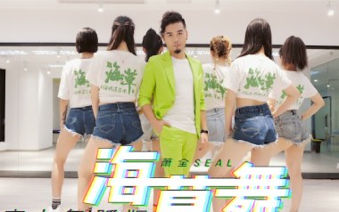 海草舞吉他六线谱_萧全_G调按弦扫弦节奏版弹唱伴奏谱_图片谱