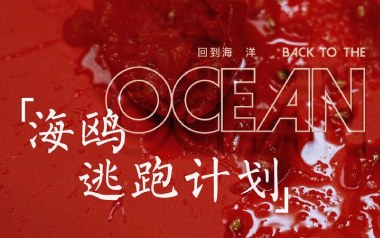 海鸥吉他六线谱_逃跑计划_G调手指指法原版编配弹唱伴奏谱_图片谱