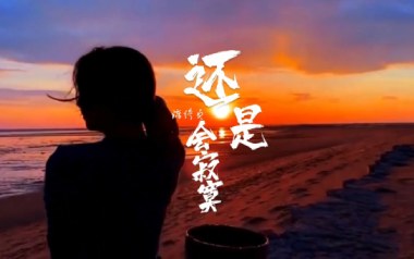 还是会寂寞吉他六线谱_陈绮贞_C调手指指法弹唱伴奏谱_高清六线谱