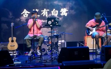 含笑有白鹭吉他六线谱_崔开潮_C调原版编配弹唱伴奏谱_图片谱