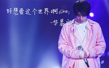 好想爱这个世界啊吉他六线谱_华晨宇_C调简单版_吉他图片谱