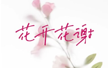 花开花谢花漫天吉他六线谱_罗哥_G调扫弦节奏版弹唱伴奏谱_吉他图片谱