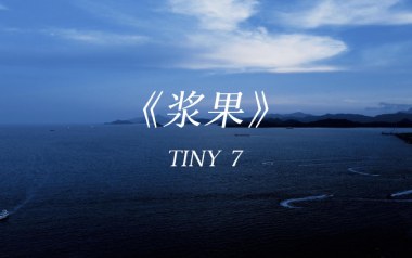 浆果吉他六线谱_TINY7_C调原版编配弹唱伴奏谱_图片谱