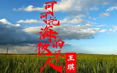 可可托海的牧羊人吉他六线谱_王琪_G调原版编配吉他六线谱_吉他弹唱伴奏教程