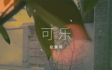可乐吉他六线谱_赵紫骅_G调手指指法原版编配弹唱伴奏谱_吉他图片谱