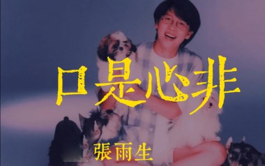 口是心非吉他六线谱_张雨生_C调按弦简单版_六线图片谱