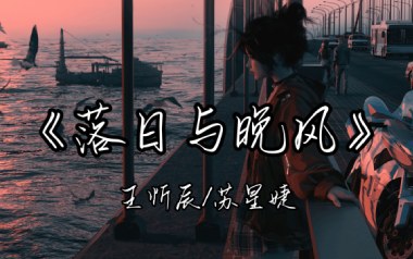 落日与晚风吉他六线谱_王忻辰/苏星婕_G调手指指法_六线图片谱