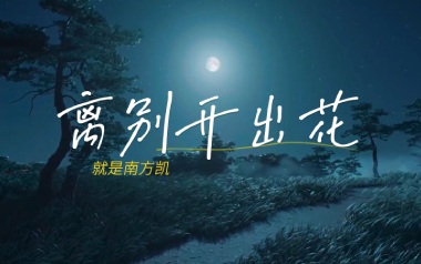 离别开出花吉他六线谱_就是南方凯_C调原版编配吉他六线谱_吉他弹唱伴奏教程