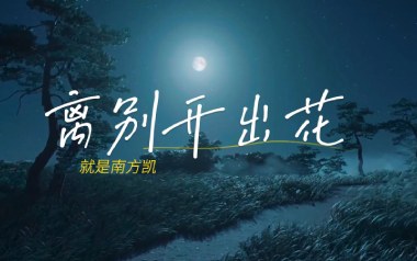 离别开出花吉他六线谱_就是南方凯_G调原版编配_图片谱