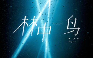 林中鸟吉他六线谱_葛林_C调手指指法扫弦节奏版弹唱伴奏谱_图片谱