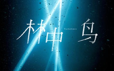 林中鸟吉他六线谱_葛林_C调手指指法扫弦节奏版_图片谱
