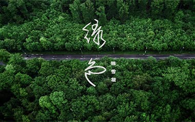 绿色吉他六线谱_陈雪凝_C调扫弦节奏简单版_高清六线谱