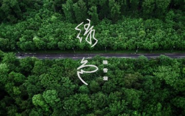 绿色拇指弹拨吉他六线谱_陈雪凝_简单版独奏曲谱谱_吉他拇指弹拨教程