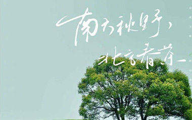 南方秋野北方春茶吉他六线谱_张远_C调原版编配弹唱伴奏谱_吉他图片谱