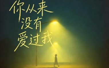 你从来没有爱过我吉他六线谱_励明_C调原版编配弹唱伴奏谱_吉他图片谱