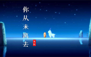 你从未离去吉他六线谱_白挺_C调简单版_图片谱