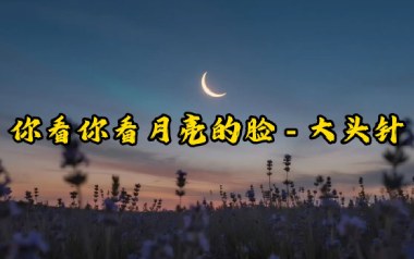 你看你看月亮的脸吉他六线谱_大头针_C调原版编配弹唱伴奏谱_高清图片六线谱