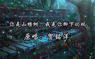 你是山楂树我是你脚下的坟吉他六线谱_贺铭洋_C调简单版弹唱伴奏谱